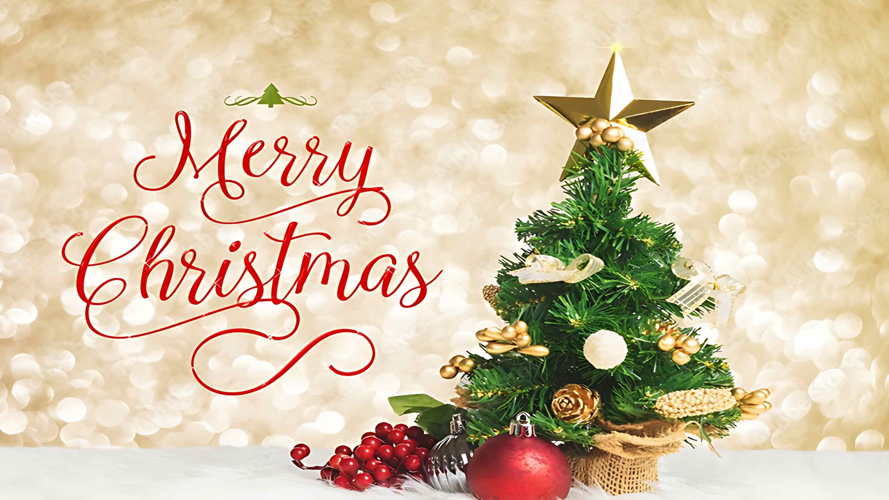 توكل كرمان تهنئ المسيحيين بعيد الميلاد المجيد